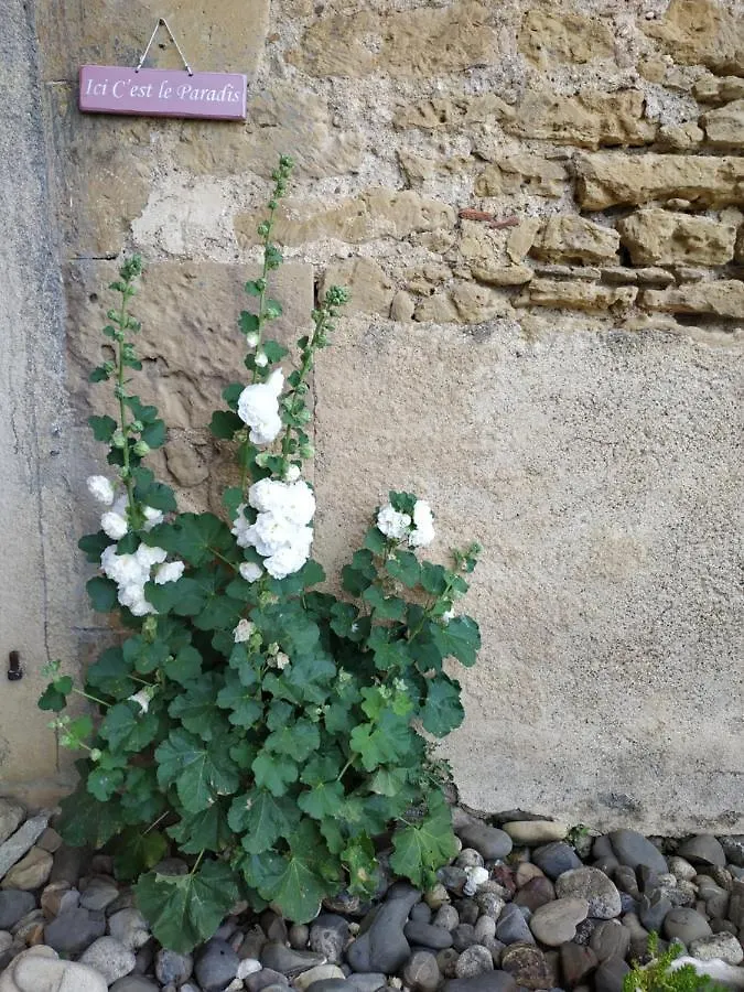 Guest house Au Manot Hotel Sainte-Dode